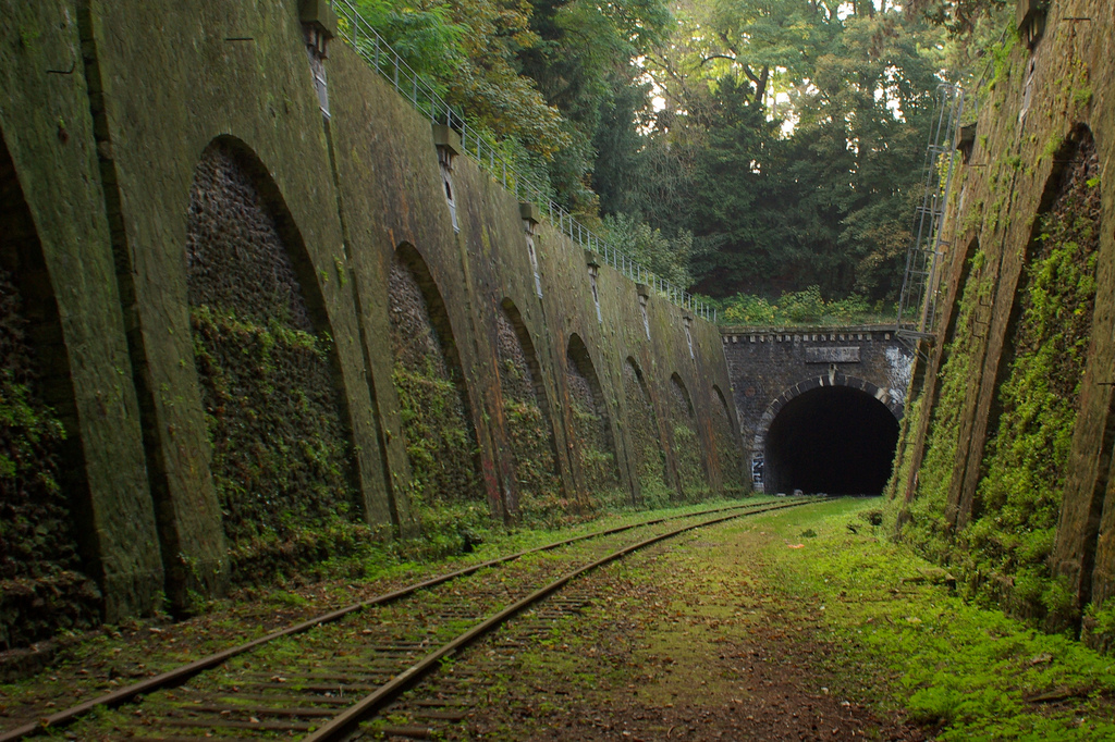 Напуштена железничка линија во Париз која природата ја зема под своја контрола