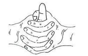 (10) Дланките и нивната моќ на исцелување