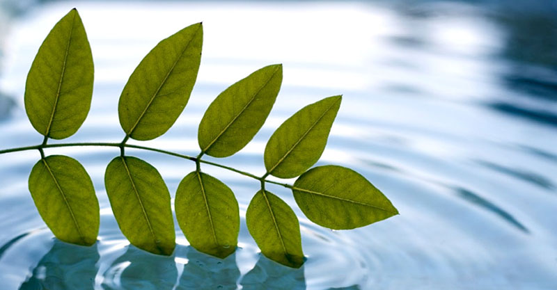 10-surovi-realnosti-koi-ni-pomagaat-da-sozreeme-kafepauza.mk