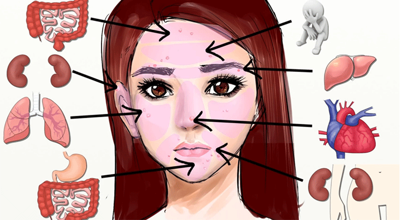 Како традиционалната медицина може од лицето да ви го прочита вашето здравје?