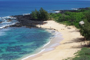 (6) zabranet-ostrov-mesto-kade-shto-vremeto-e-zastanato-kafepauza