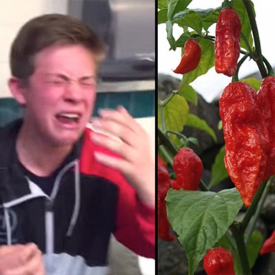 dete-za-prv-pat-probuva-mnogu-luta-piperka-i-rezultatot-e-potpolno-ochekuvan