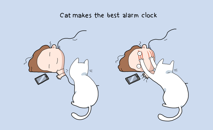 Мачката е најдобриот будилник