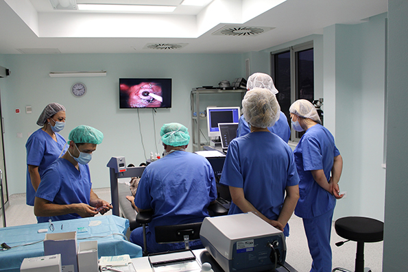 2-svedoshtvo-na-tv-prezenterkata-tatjana-stojanovska-koja-neodamna-napravi-operacija-za-otstranuvanje-na-dioptrija-vo-sistina-oftalmologija-kafepauza.mk