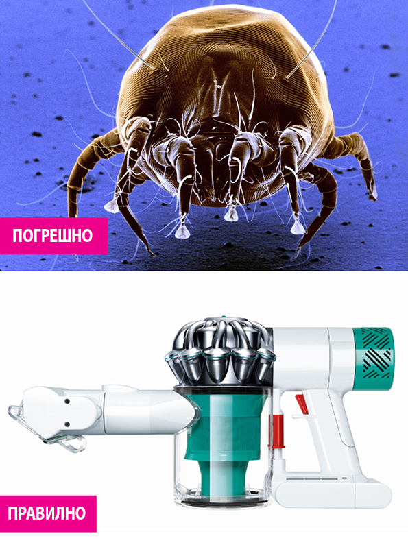 10-9-soveti-so-chija-pomosh-kje-ja-pretvorite-spalnata-soba-vo-lichen-raj-kafepauza.mk