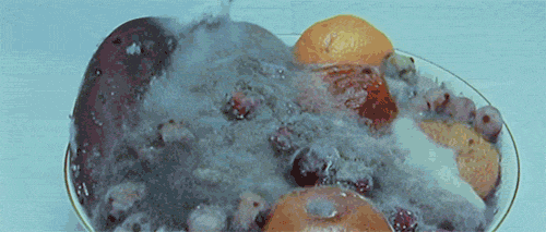 16-20-raboti-koi-definitivno-ne-gi-nauchivme-vo-uchilishte-www.kafepauza.mk_