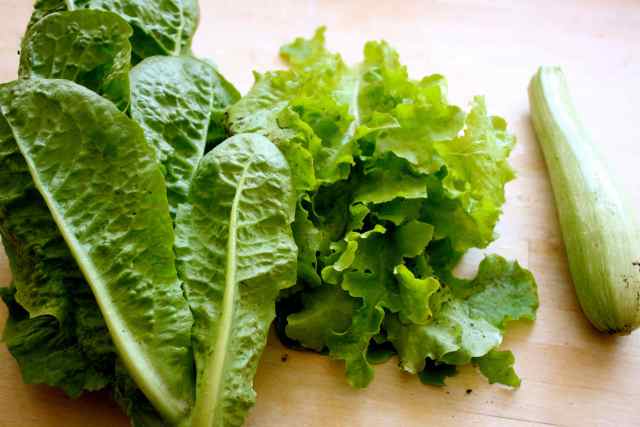 3-sojuznicite-na-vitkata-linija-9-proizvodii-koi-imaat-0-kalorii-www.kafepauza.mk_