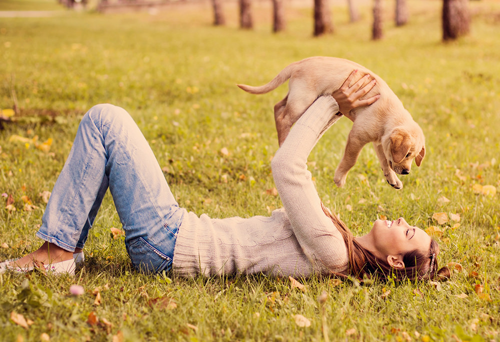7 важни лекции кои можете да ги научите од вашите домашни миленичиња