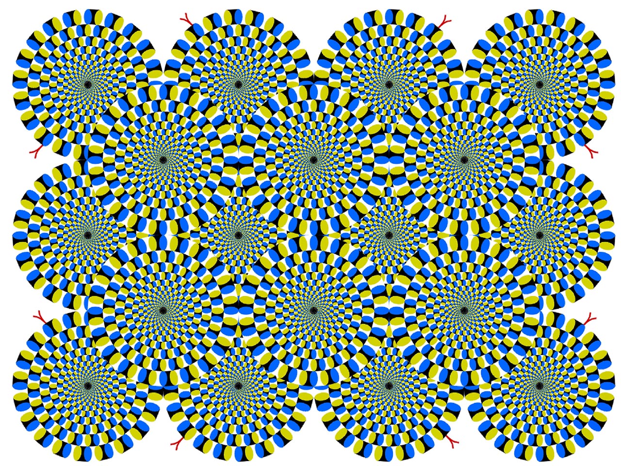 **MANDATORY BYLINE** PIC BY AKIYOSHI KITAOKA / CATERS NEWS (PICTURED: ROTATING SNAKES - CIRCULAR SNAKES APPEAR TO ROTATE SPONTANEOUSLY) - These are the mind-blowing artworks of one professor who has dedicated his professional life to studying and generating a series of dizzying optical illusions. Professor Akiyoshi Kitaoka, from Ritsumseikan University, in Kyoto, Japan, has spent more than a decade creating his collecting of stomach-churning works. His designs have been used by the likes of Lady Gaga, who ran the Kitaokas work, entitled Gangaze, as the CD cover for her album Art Pop, in 2013.SEE CATERS COPY