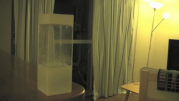 (2)-20-najneverojatni-izumi-za-2015-godina-kafepauza.mk