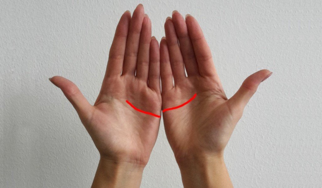 Линијата на десната дланка е повисока од онаа на левата дланка
