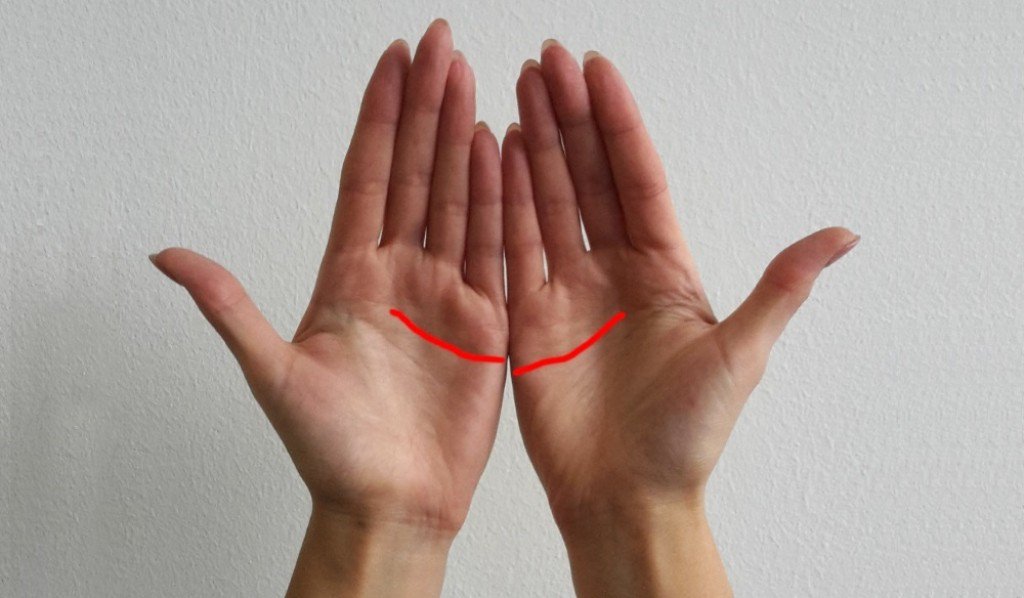Линијата на десната дланка е повисока од онаа на левата дланка