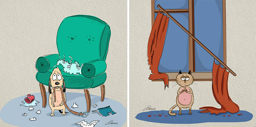 Мачки против кучиња: 6 илустрирани разлики