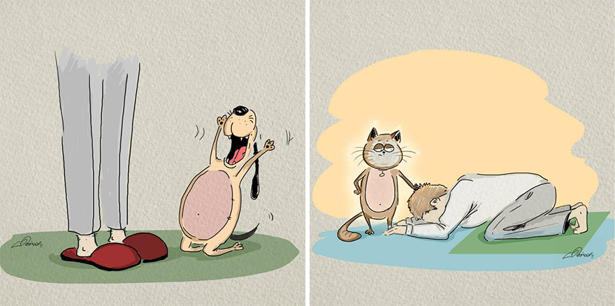 Мачки против кучиња: 6 илустрирани разлики
