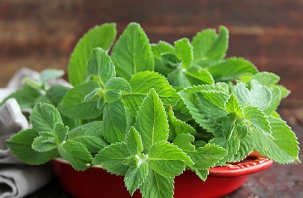 9 растенија кои може да ги одгледувате во вашата кујна