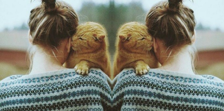 12 причини зошто жените кои чуваат мачки се најдобри сопруги