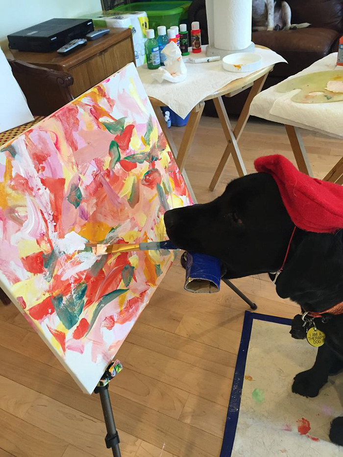 Запознајте го Догвинчи: Кучето сликар кое ги продава своите уметнички дела