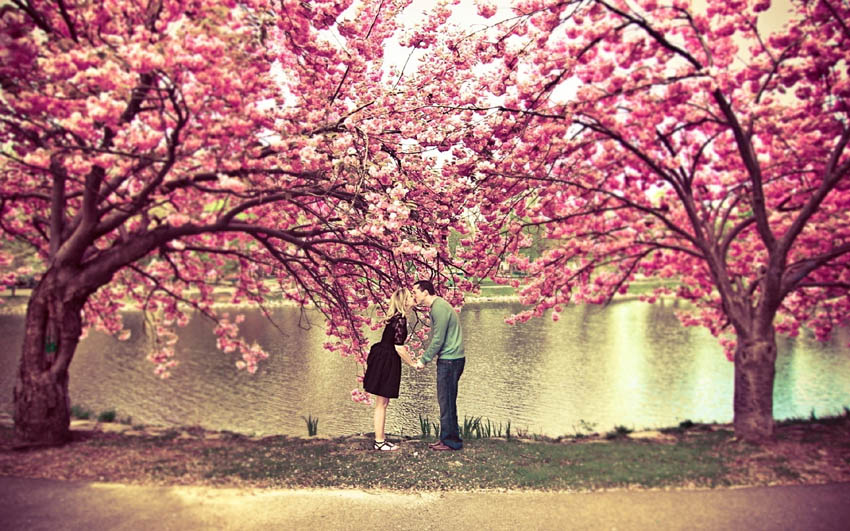 Зошто пролетта е совршеното годишно време за да влезете во врска?