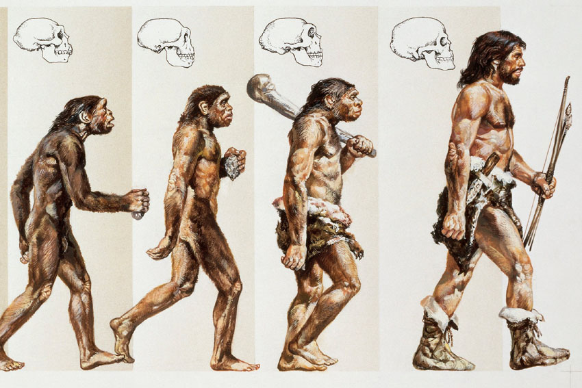 Погледнете како би изгледале луѓето кога би еволуирале од различни животни