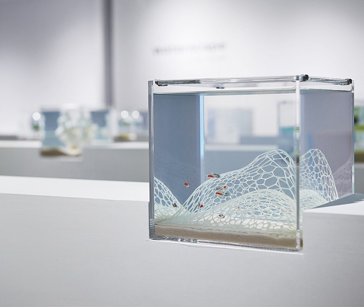 Модерни 3Д печатени аквариуми ја комбинираат уметноста и природата