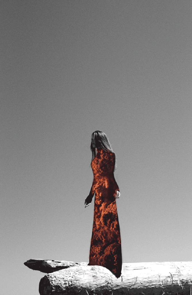 Неверојатни гифови ја заменуваат модата со чудата на природата