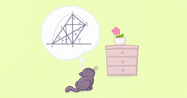 Научниците докажаа дека мачките ги разбираат основите на физиката