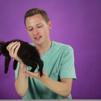 Погледнете ги овие луѓе кои за прв пат држат мали мачиња
