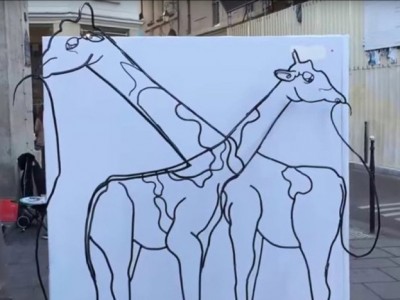 Загатка која го збуни Интернетот: Дали гледате две жирафи или слон?