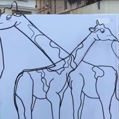 Загатка која го збуни Интернетот: Дали гледате две жирафи или слон?