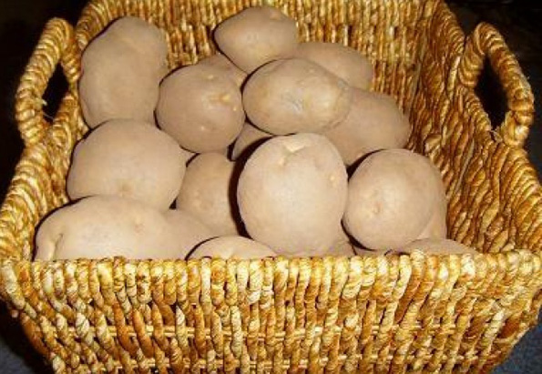 (12) Како да ги зачувате овошјето и зеленчукот свежи?