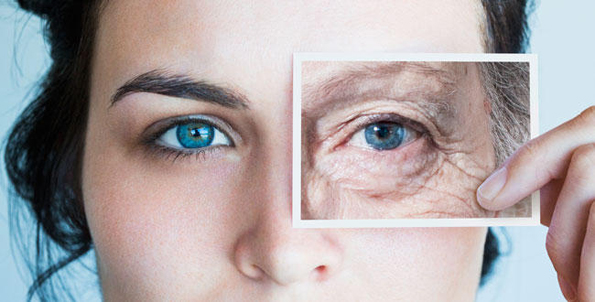 (2) Кои се разликите и сличностите во стареењето кај мажите и жените?