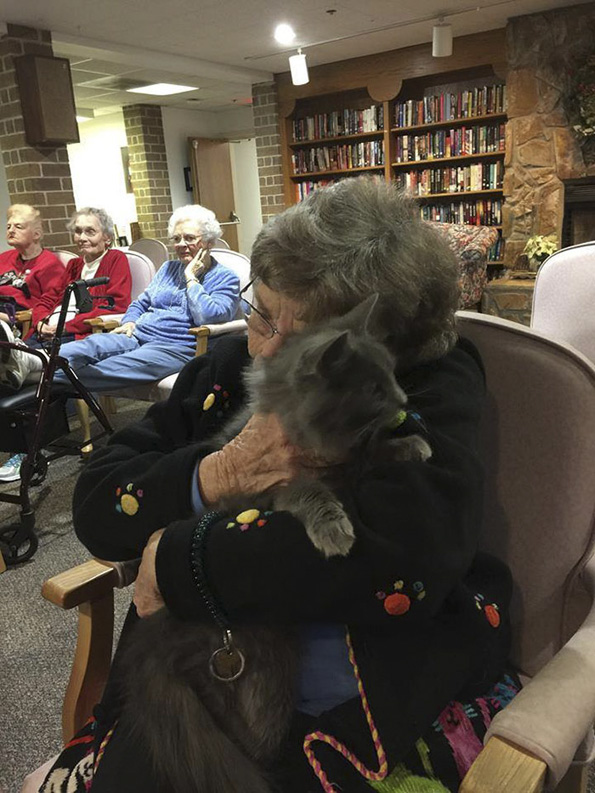 (5) Прекрасна идеја: Стари мачки одат во посета домови за пензионери