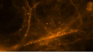 (14) Неверојатни гифови говорат повеќе и од 1.000 зборови
