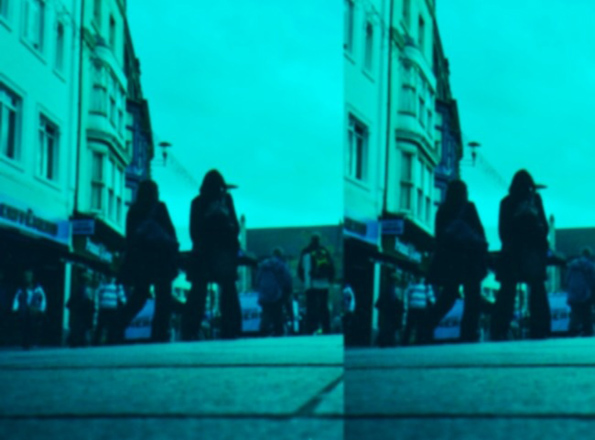 Како изгледа светот низ очите на различни животни?