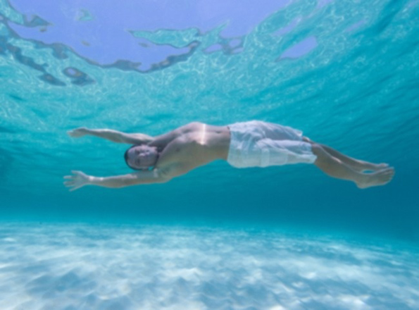 Како изгледа светот низ очите на различни животни?