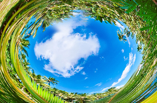 Како изгледа светот низ очите на различни животни?