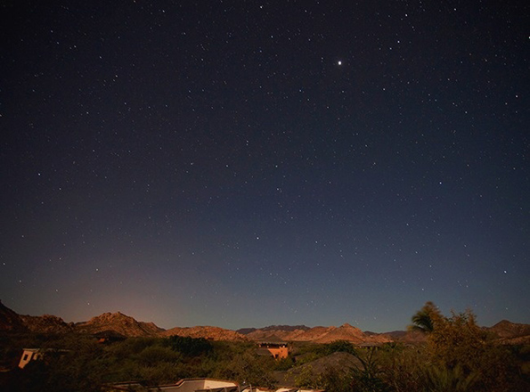 Како изгледа светот низ очите на различни животни?