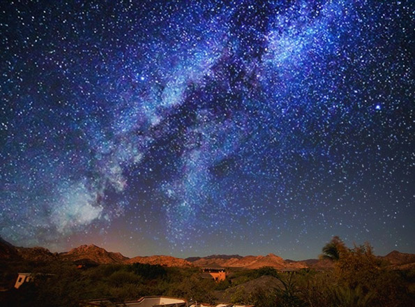 Како изгледа светот низ очите на различни животни?