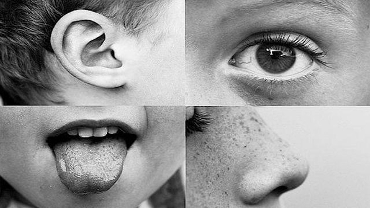 Колку сетила има човекот? 3 дополнителни сетила за кои веројатно не сте чуле досега