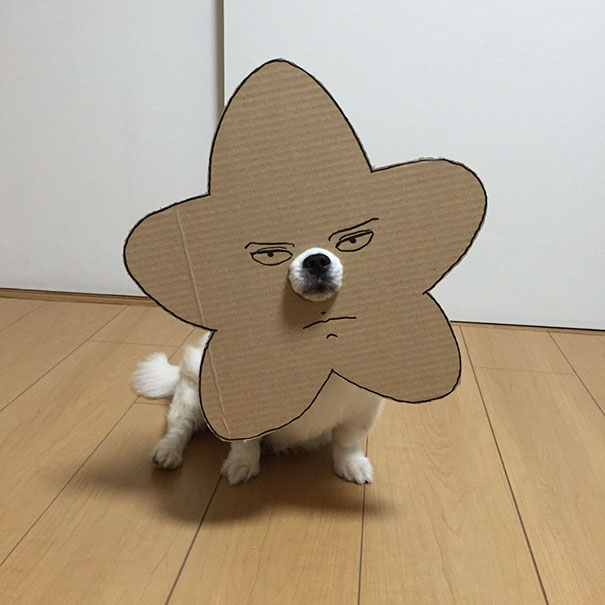Јапонка создава смешни картонски фигури за нејзиното куче