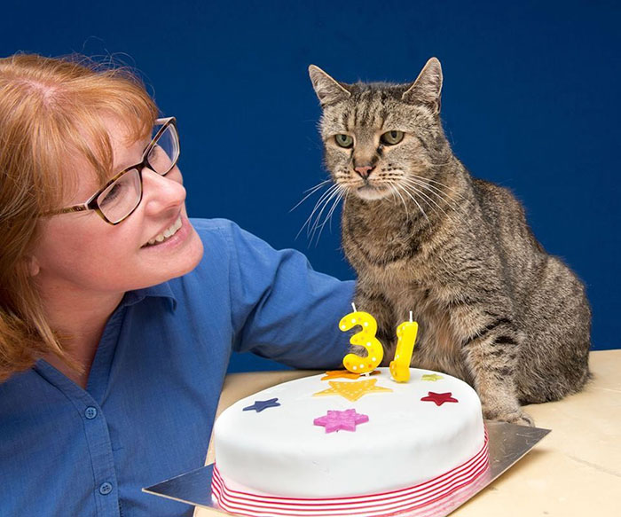 Најстариот мачор во светот го прослави својот 31-ви роденден
