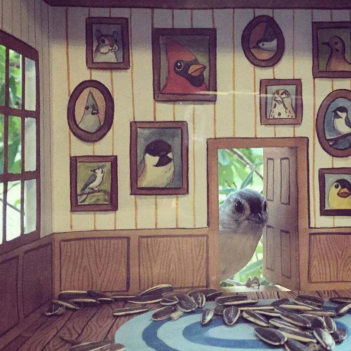 Креативно и интересно: Жена создава мали куќички за птиците кои ја посетуваат