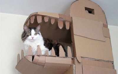 Како да ги задоволите потребите на вашата мачка? Изградете ѝ куќичка во форма на змеј!