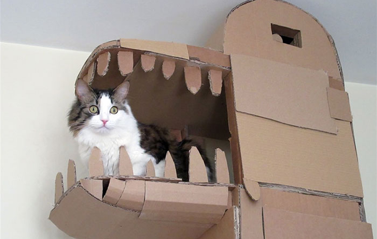 Како да ги задоволите потребите на вашата мачка? Изградете ѝ  куќичка во форма на змеј!