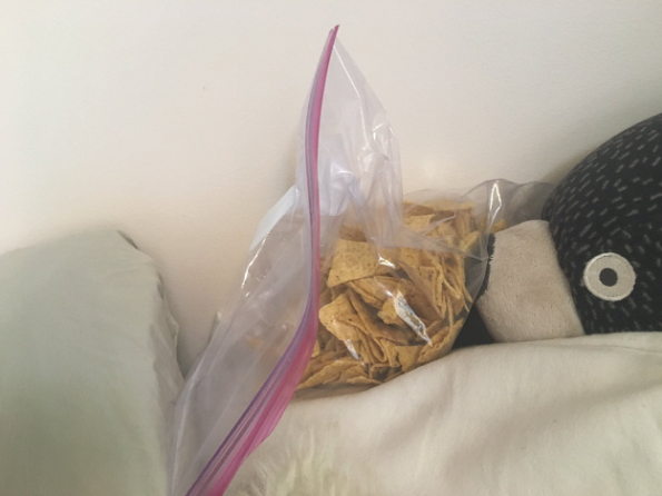 Фотографии што ќе ги разберат само оние кои сакаат да јадат во кревет