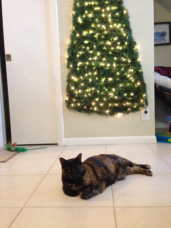 Забавни и креативни начини да ја заштитите новогодишната елка од вашите домашни миленици