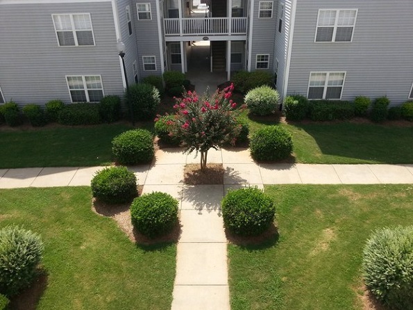 26 фотографии кои ќе ве изнервираат со својата несовршеност