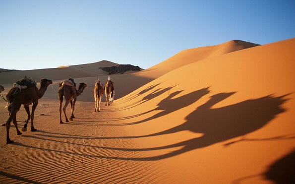 Пред 6.000 години дождовно подрачје, а денес сува пустина: Што навистина се случило со Сахара?