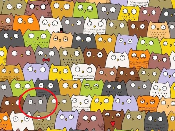 Тест за видот: Можете ли да го најдете предметот што не припаѓа на овие фотографии?