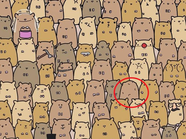 Тест за видот: Можете ли да го најдете предметот што не припаѓа на овие фотографии?